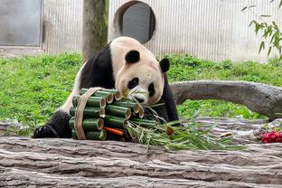 伊斯科战旧主数据：4次关键传球，4次抢断，2次错失良机，1次中柱